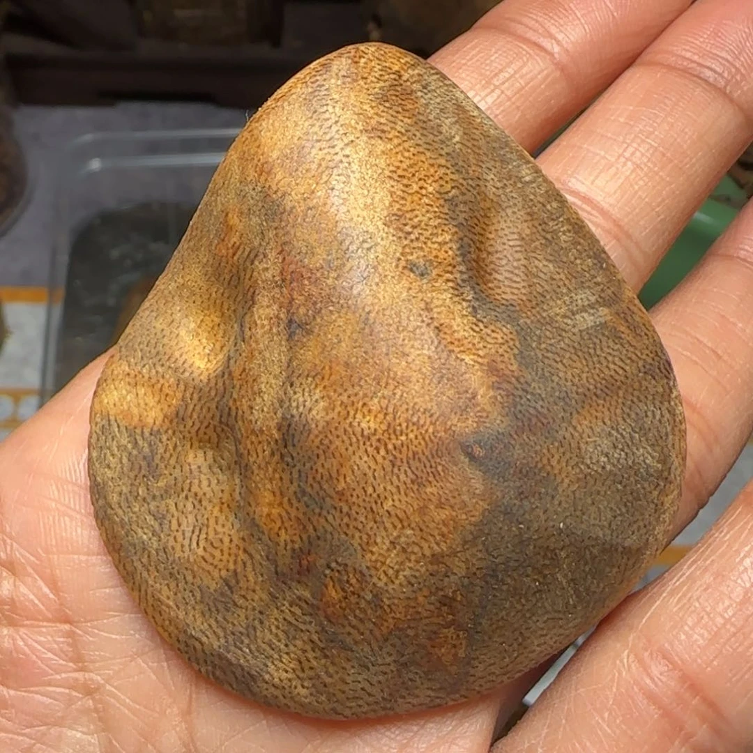 树脂制品触**福白旗包头