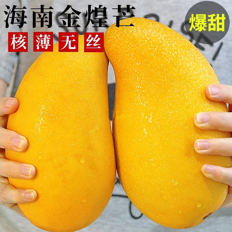 正宗金煌芒果大果新鲜热带水果当季水果爆甜多汁甜心芒果3-9斤