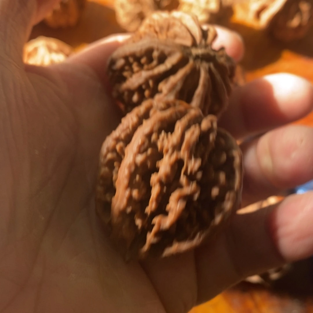 秦岭南侧和东北北部部分