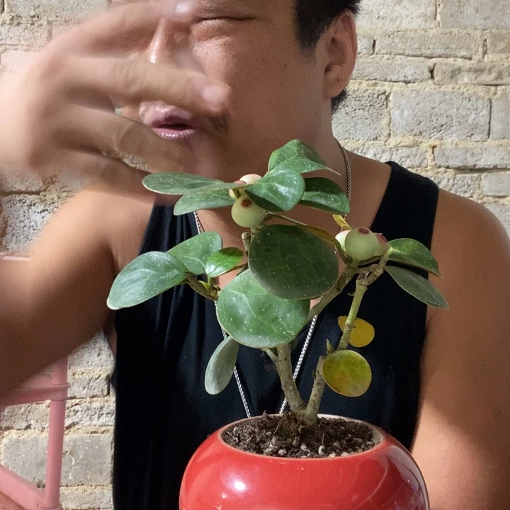 完全开放退款拉黑一物一拍190