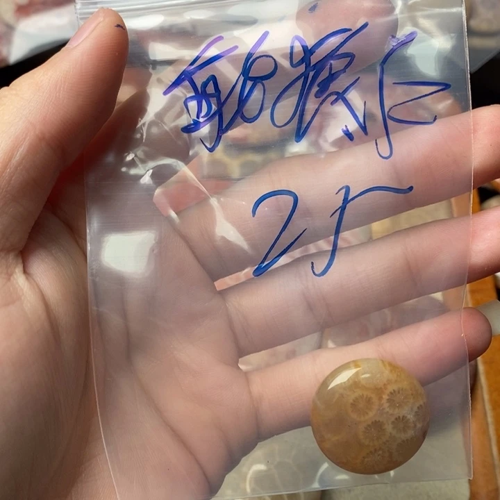 硅化玉颈饰未镶嵌敏*仁