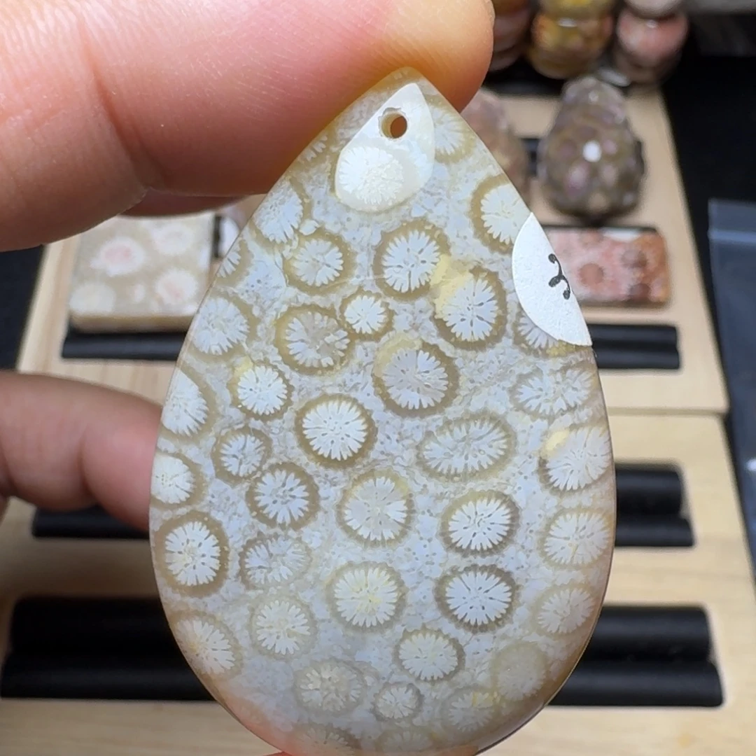 硅化珊瑚（珊瑚玉）未镶嵌纯天然色有机玉石保真色