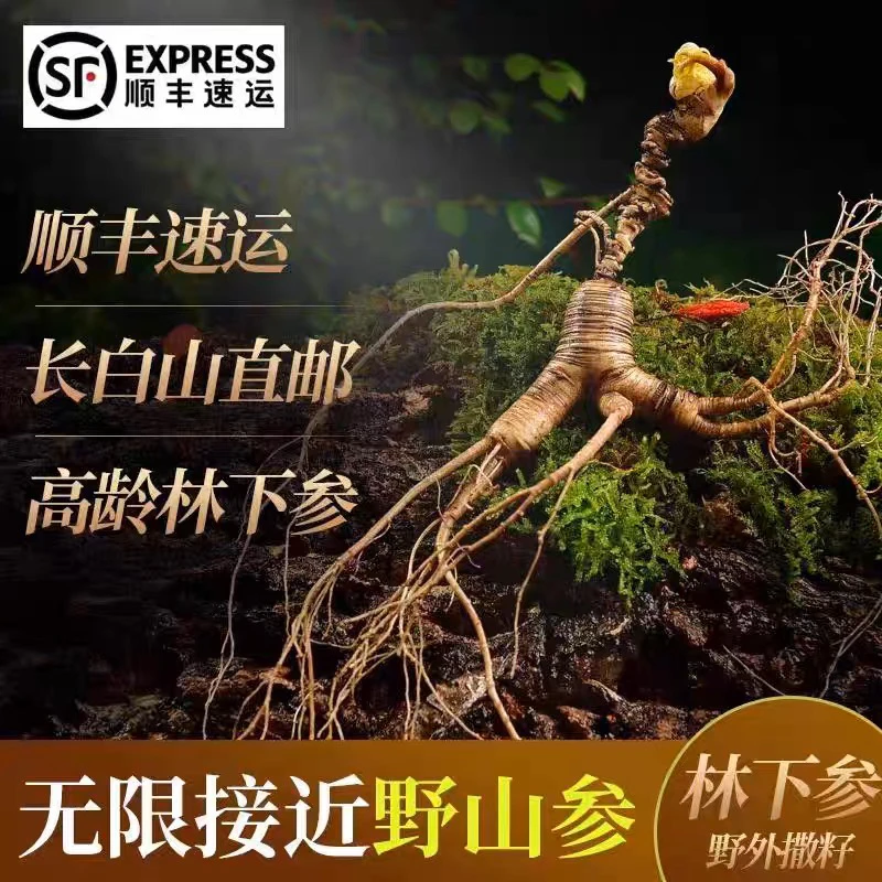 长白山老人参大集代购货源地改价链接（实物截图为准