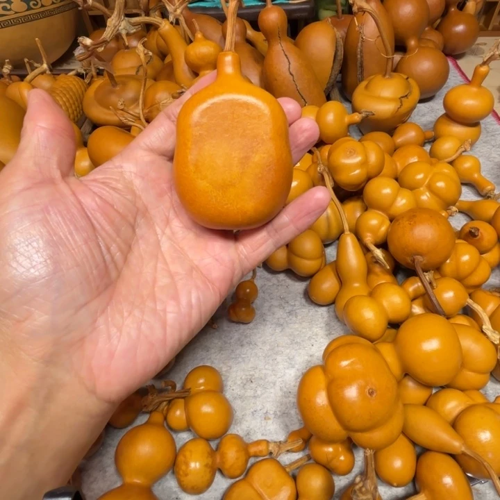 W****无聊的一把葫芦WSY的