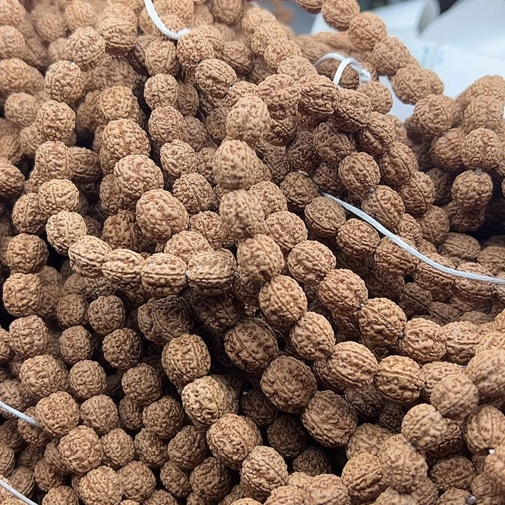 初****手串金刚菩提谢谢