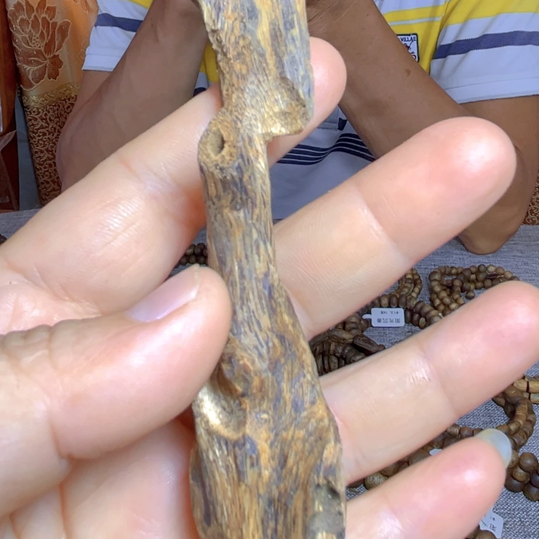 沉香沉香碎屑虫漏