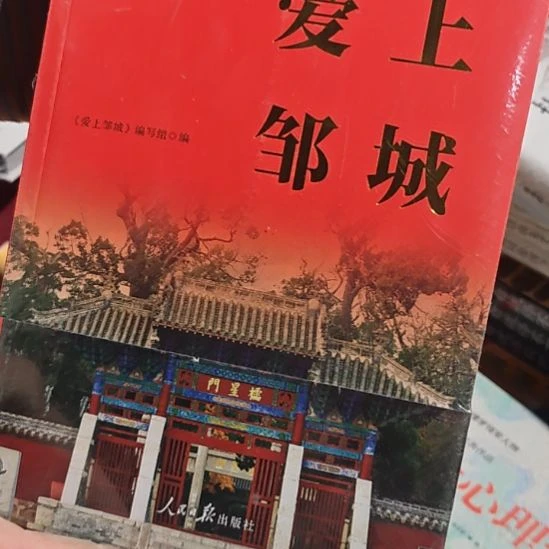 爱上邹城平装库存书