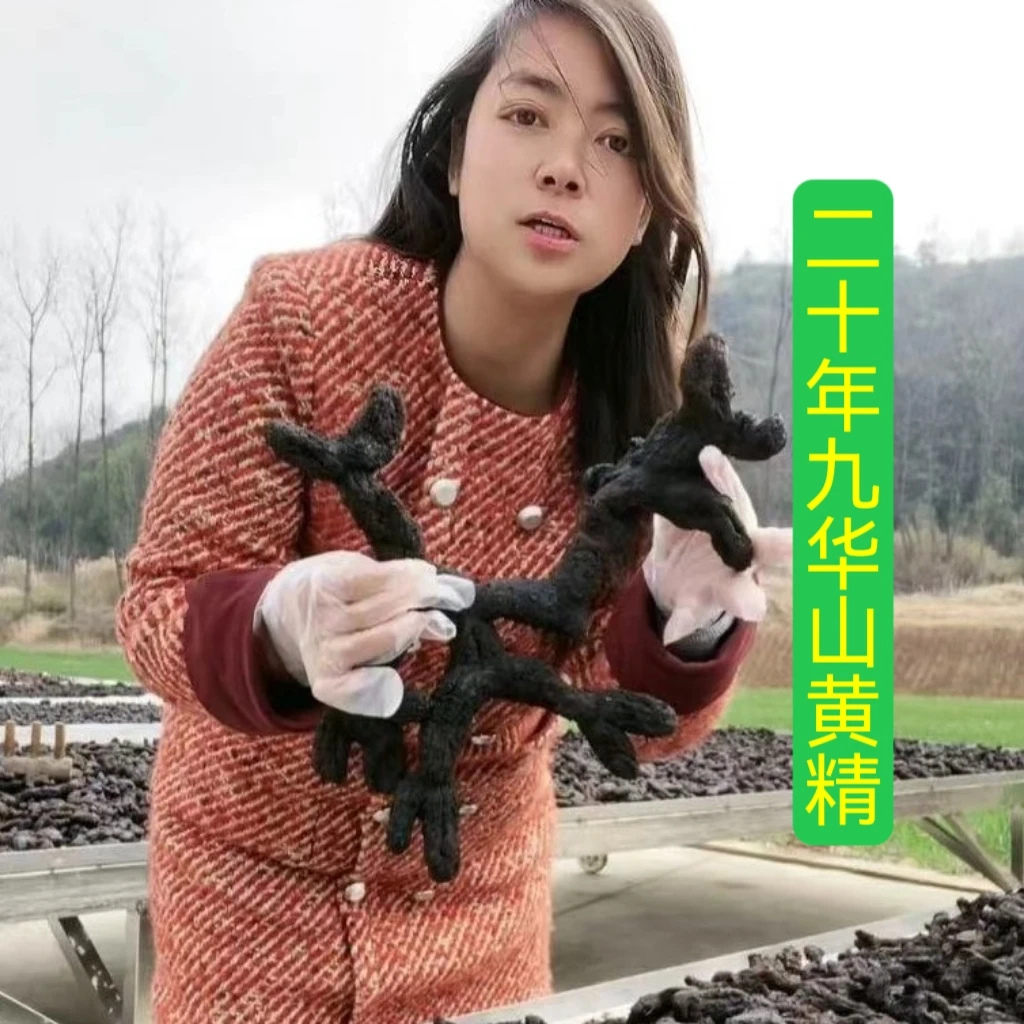 九蒸九晒  仙人  粮整根