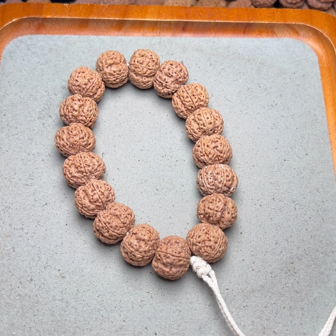 菩提5号金刚菩提梁梅花19