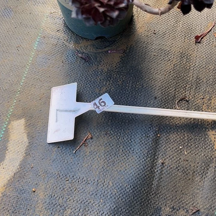 寄养连接一物一图46