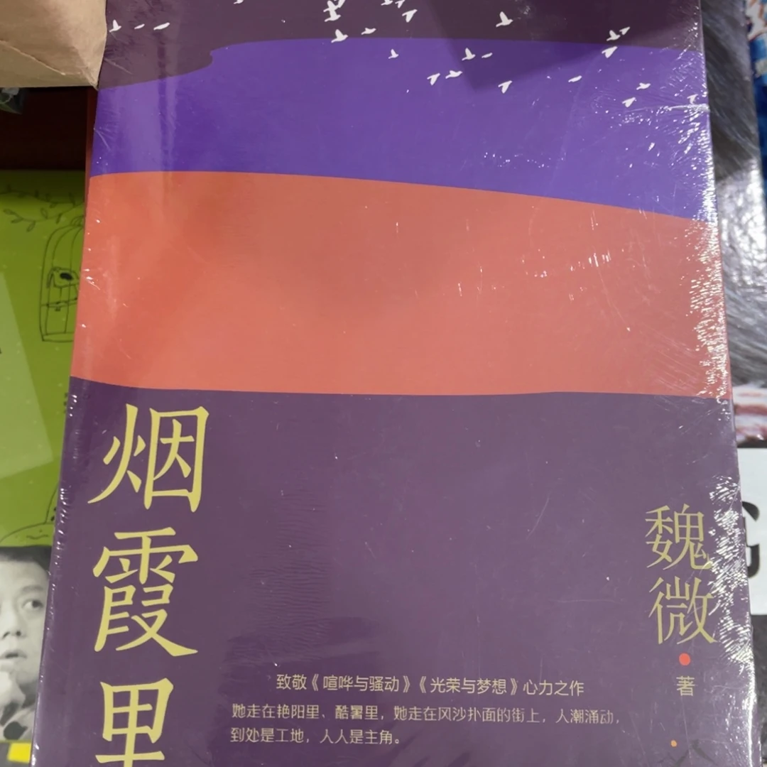烟霞里平装一个