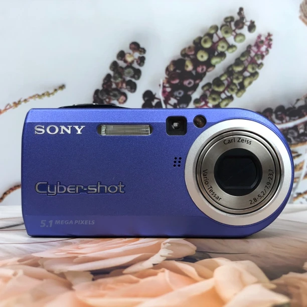 9新 Sony/索尼 p100 迷你版 人像出片冷白 成色新 出片清晰