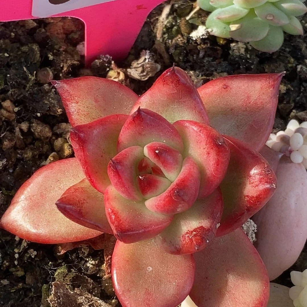 758不知名哈哈哈哈哈