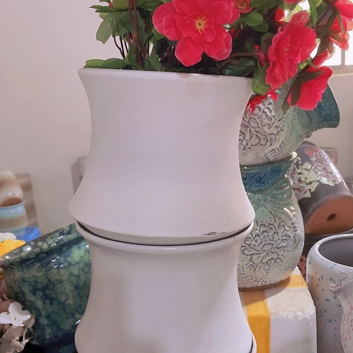 正品20/20两个处理