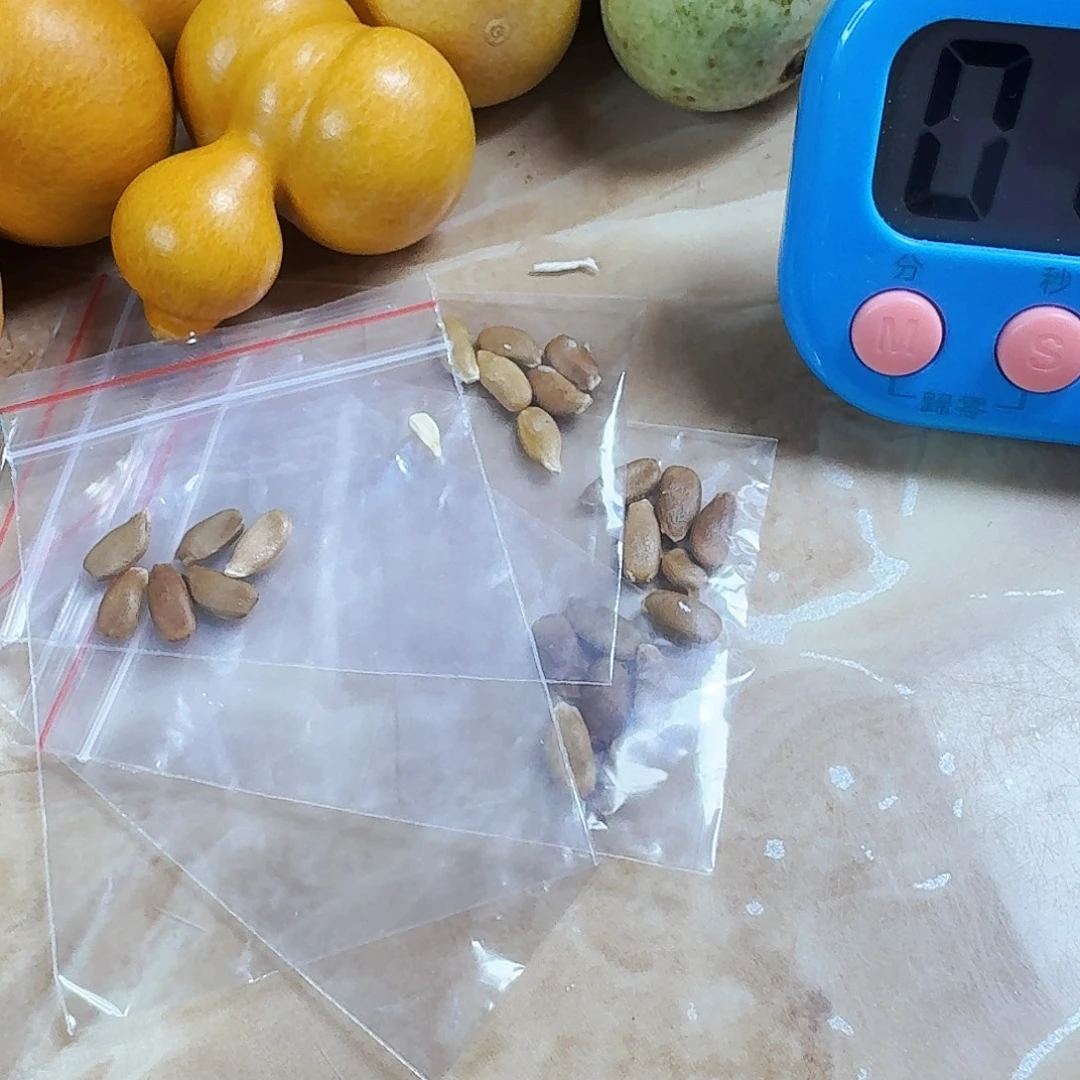 三庭种子葫芦种子