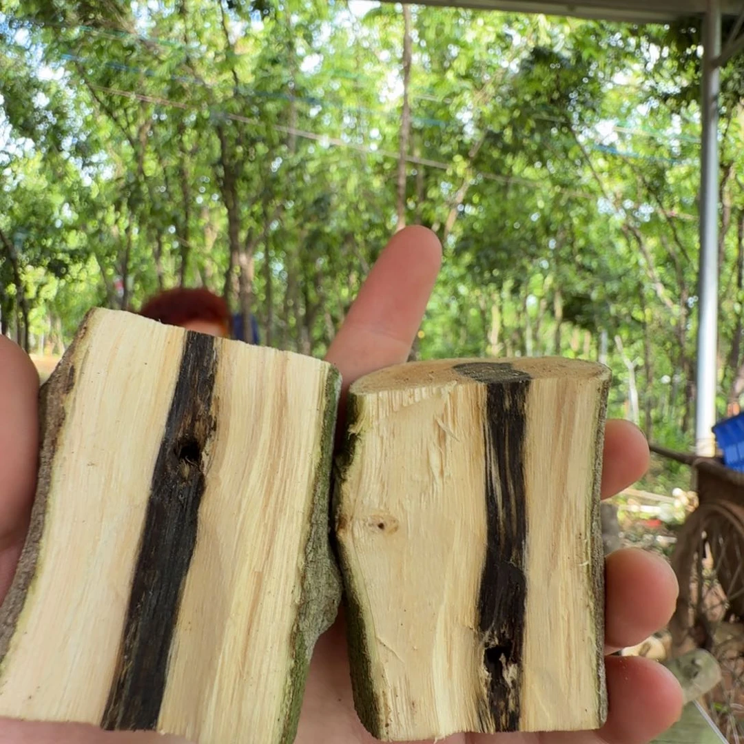 线香奇楠沉香原木