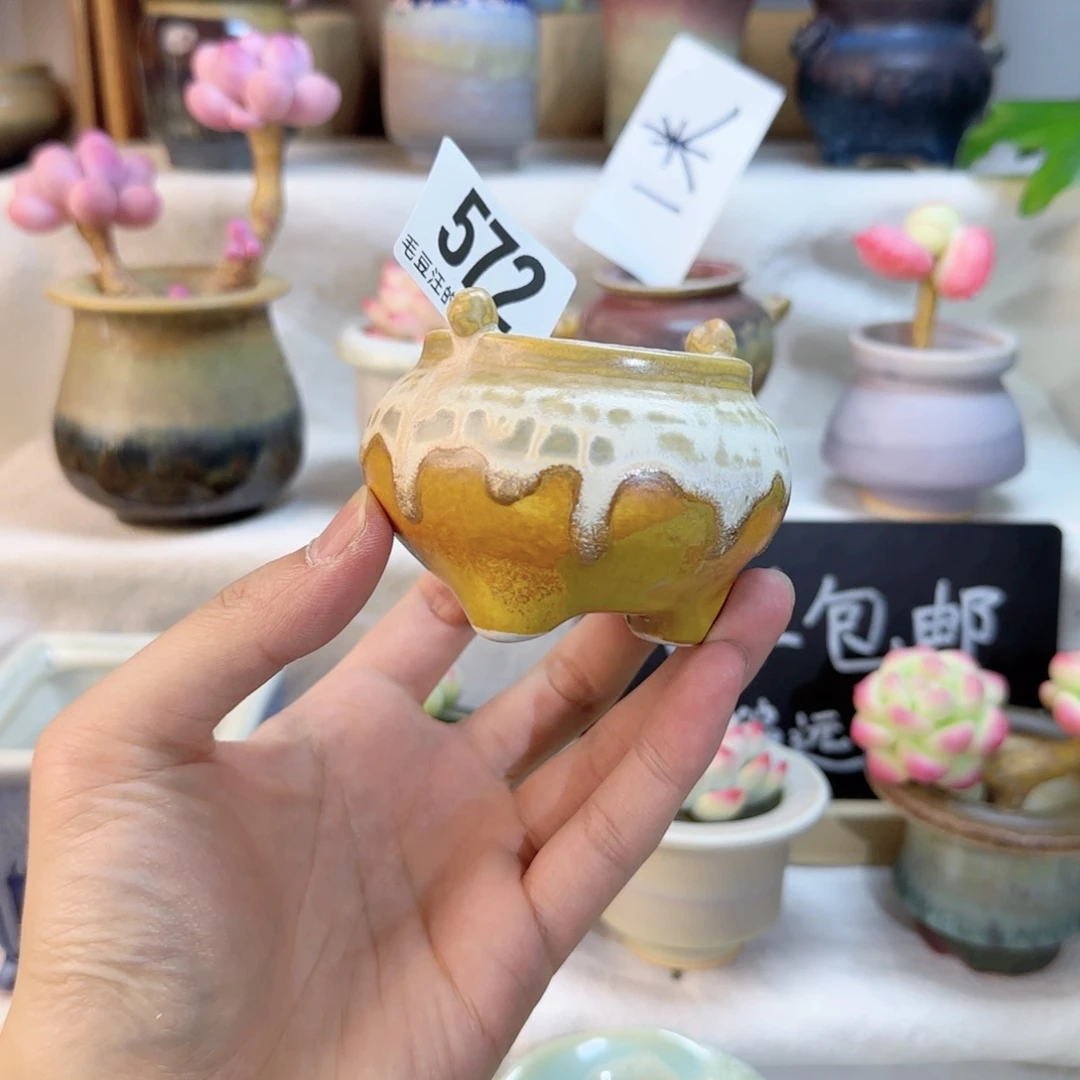 572。内口5cm。非偏远两单包邮