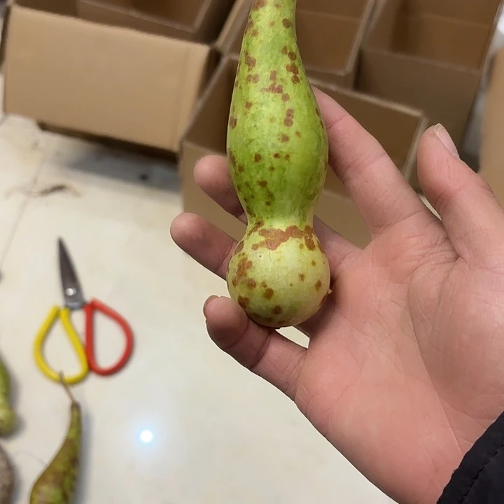 M***-陶瓷文玩葫芦花皮摆件