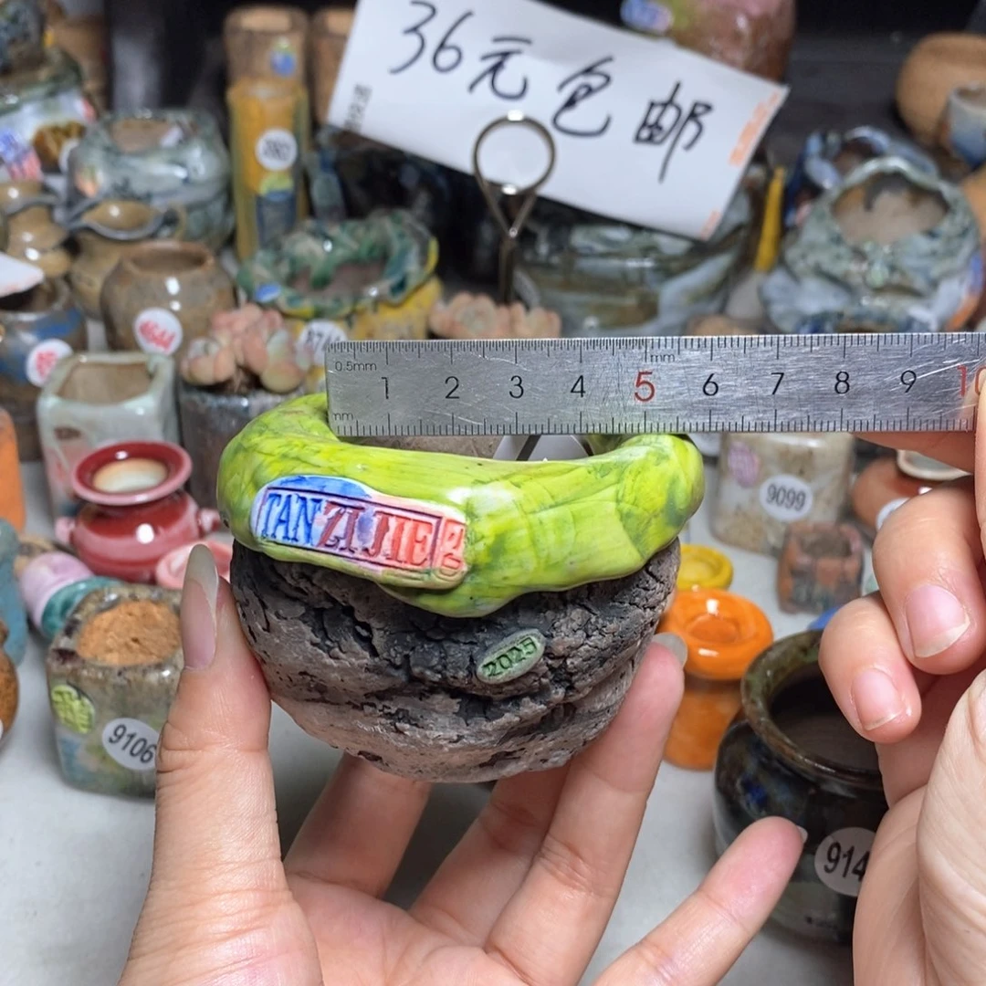 特拍5送一个小礼物