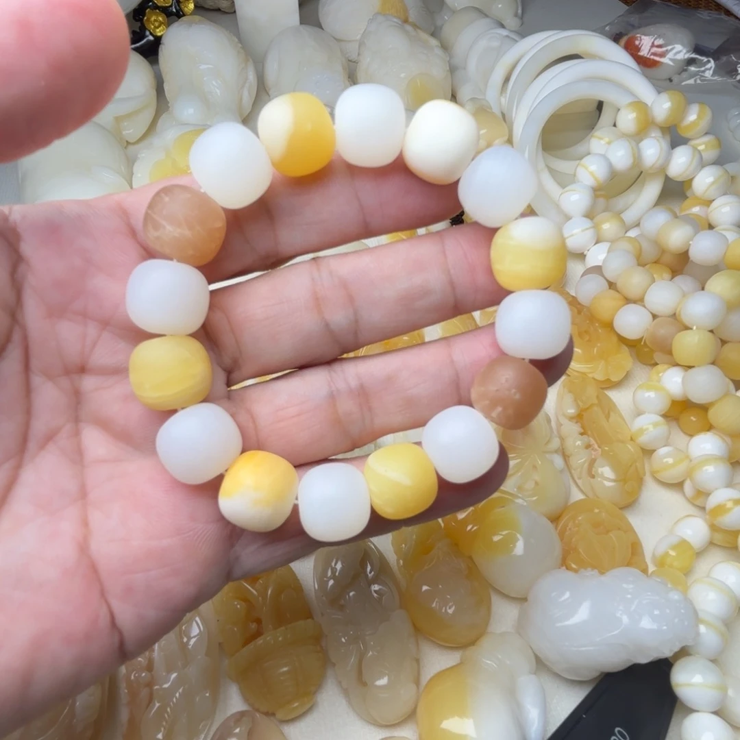 小***窝贝壳非金属天然贝壳