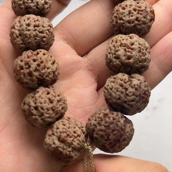 金刚菩提吊坠5瓣21飓肉蜂王