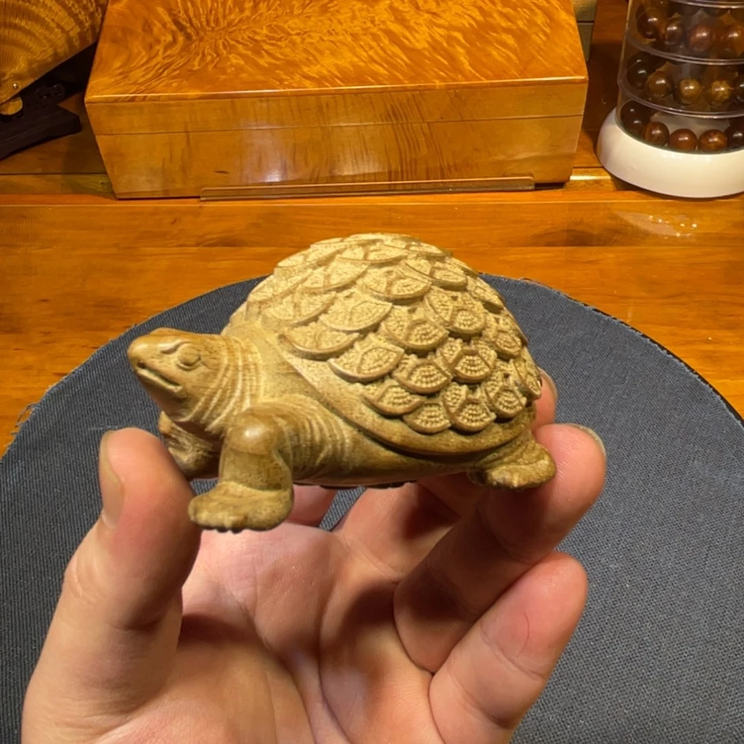 金丝楠金钱龟金丝楠木小叶桢楠