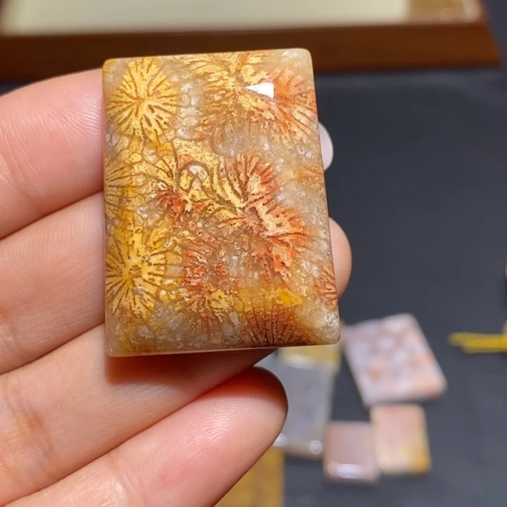 【闪购商品】未镶嵌珊瑚玉硅化玉
