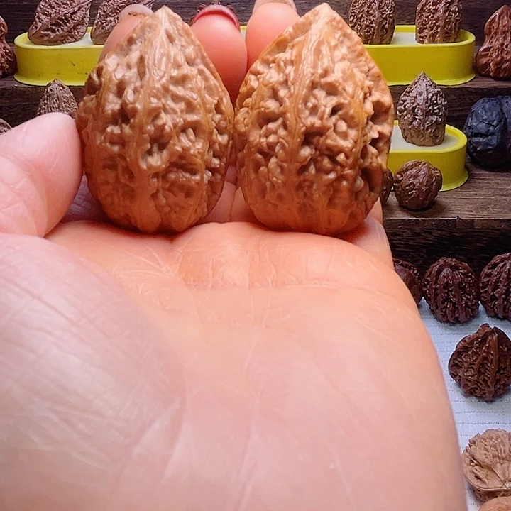 核桃12号车放漏漏