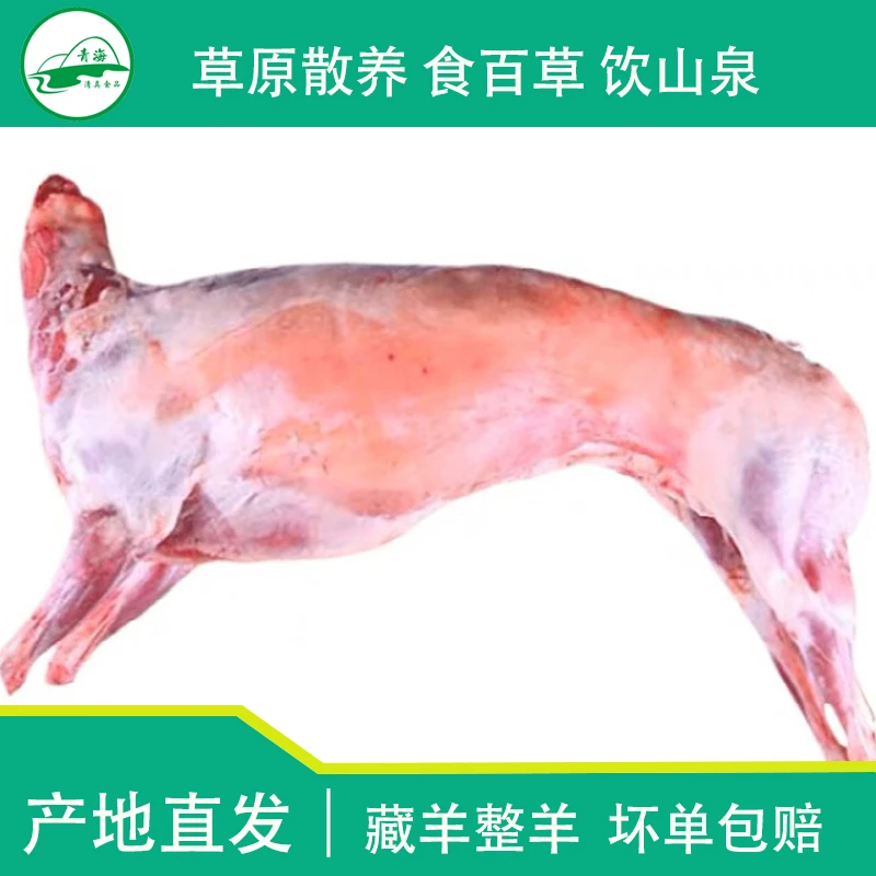 【溜达羊】青海羊肉 羊肉现宰新鲜冷冻羊酮体羊排羊腿整只白条羊
