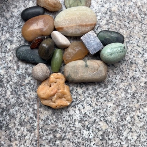 核桃木/黑胡桃（胡桃木）①****了