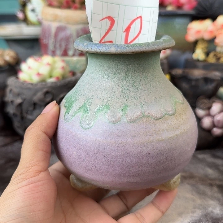 重庆小燕子欢迎大家20