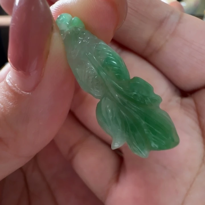 翡翠未镶嵌手镯翡翠199