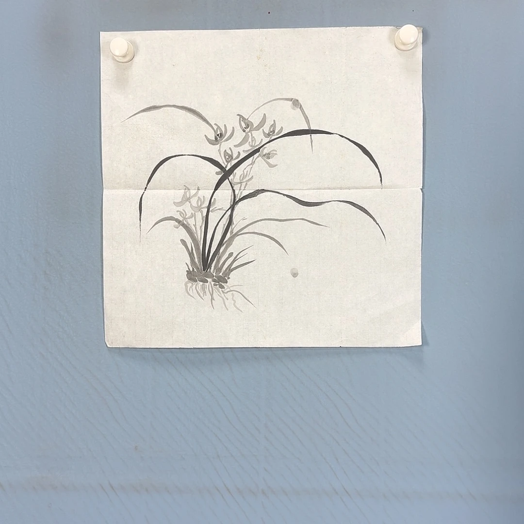 国画120 牡丹一如你初来乍