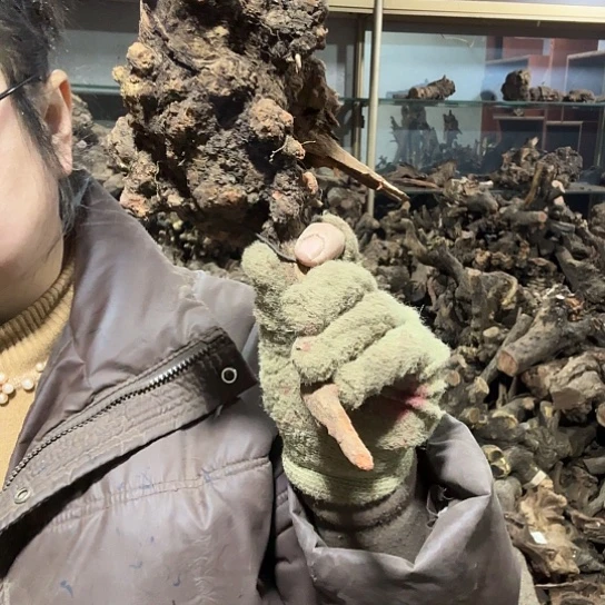 香榧木凉火琉璃的故事毛料摆件