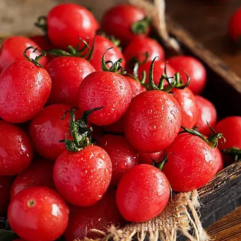 【坏果包赔】正宗千禧圣女果2/4斤装新鲜现摘小番茄酸甜多汁【ZY】