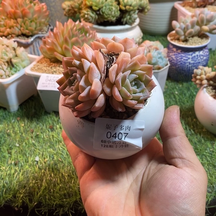 0407啊啊啊啊啊啊啊啊啊啊