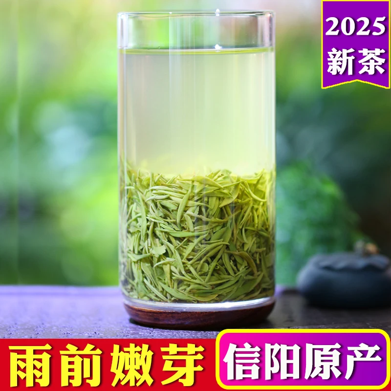 茶厂直供信阳毛尖2025雨前嫩芽高山春茶正宗绿茶毛尖茶叶盒装