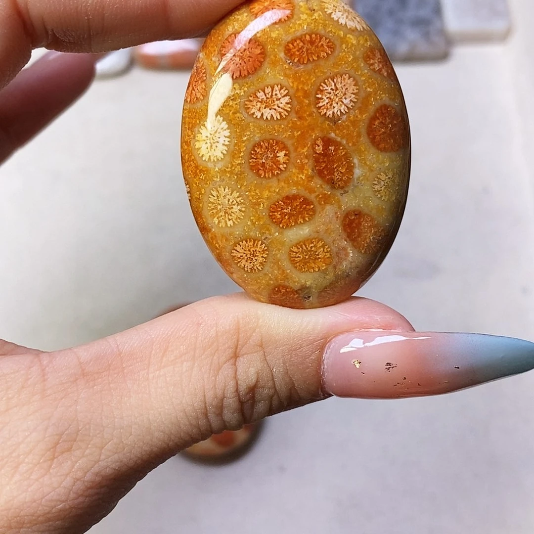 查罗石合金颈饰D**C