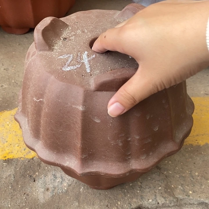 花盆紫砂有大爱有力量
