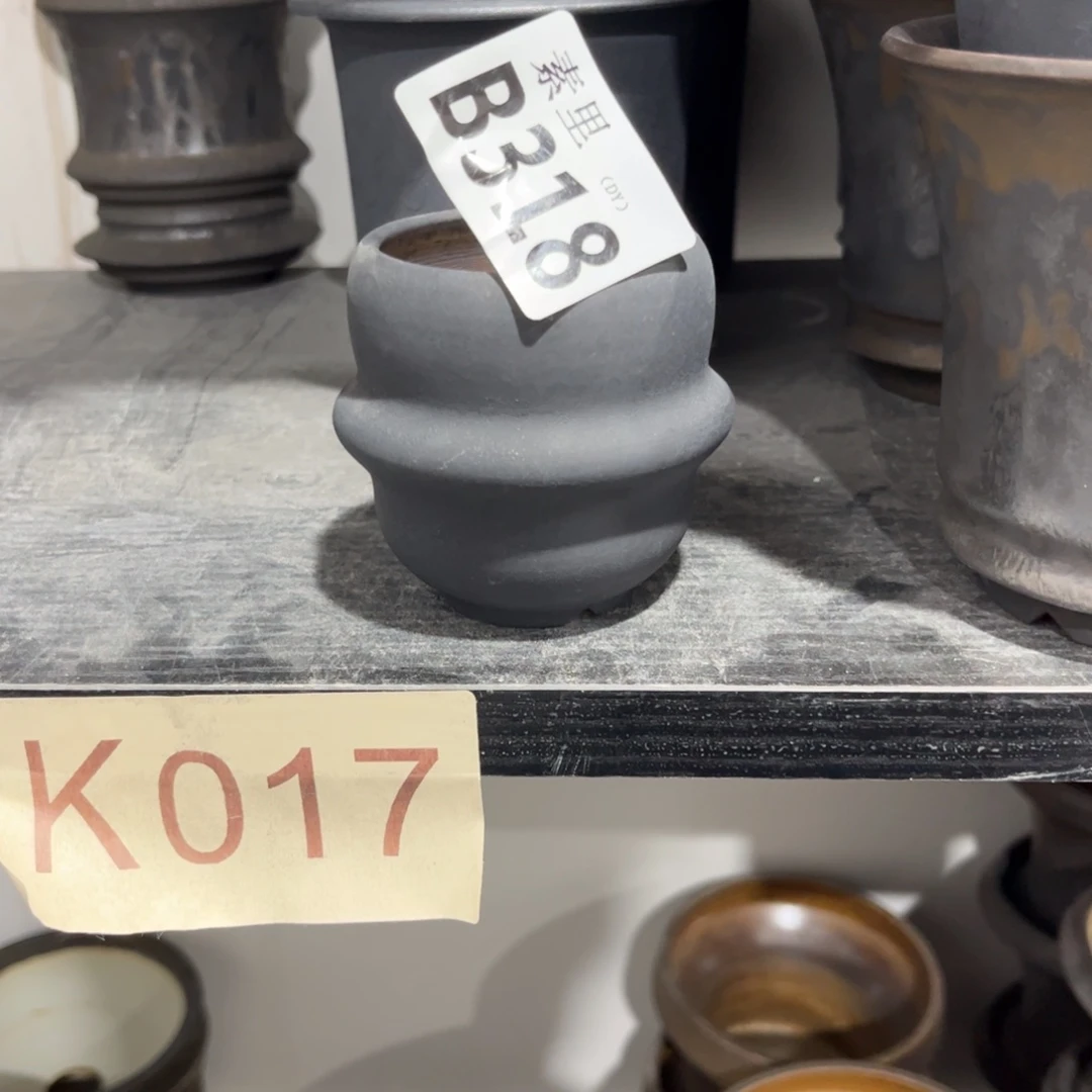 W***s本山绿泥吧哈哈哈好吧吧吧