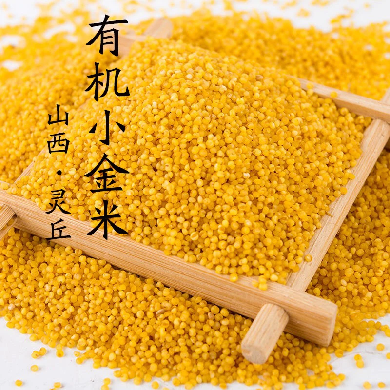 “田脊梁”有机小金米 粘稠软糯 养胃健脾 500g/袋