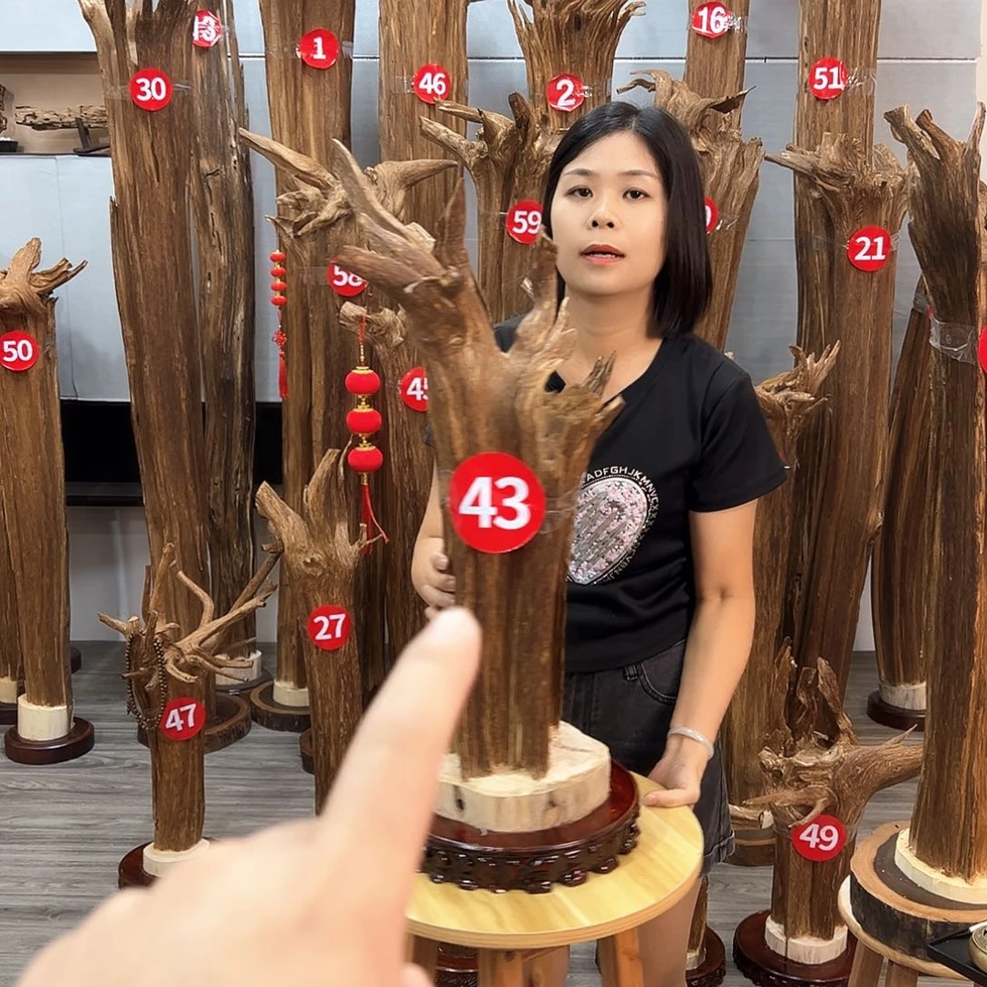 沉香沉香碎屑楠**儿沉香