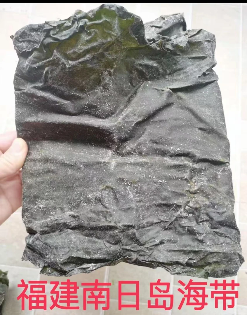 （信和臻选）南日岛全干海带无盐干货 凉拌煲汤日晒