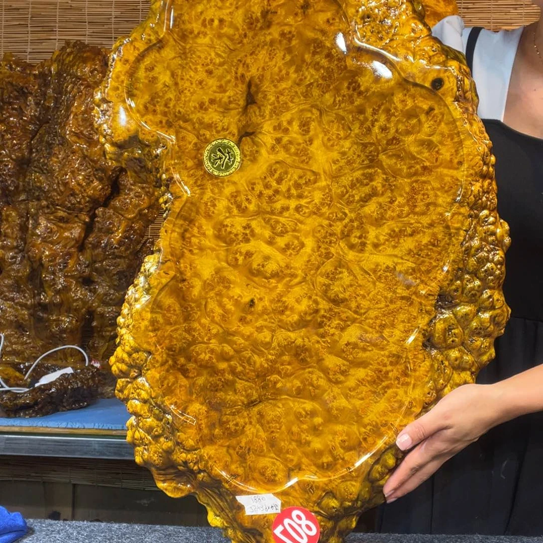 缅甸黄金樟全实木茶盘