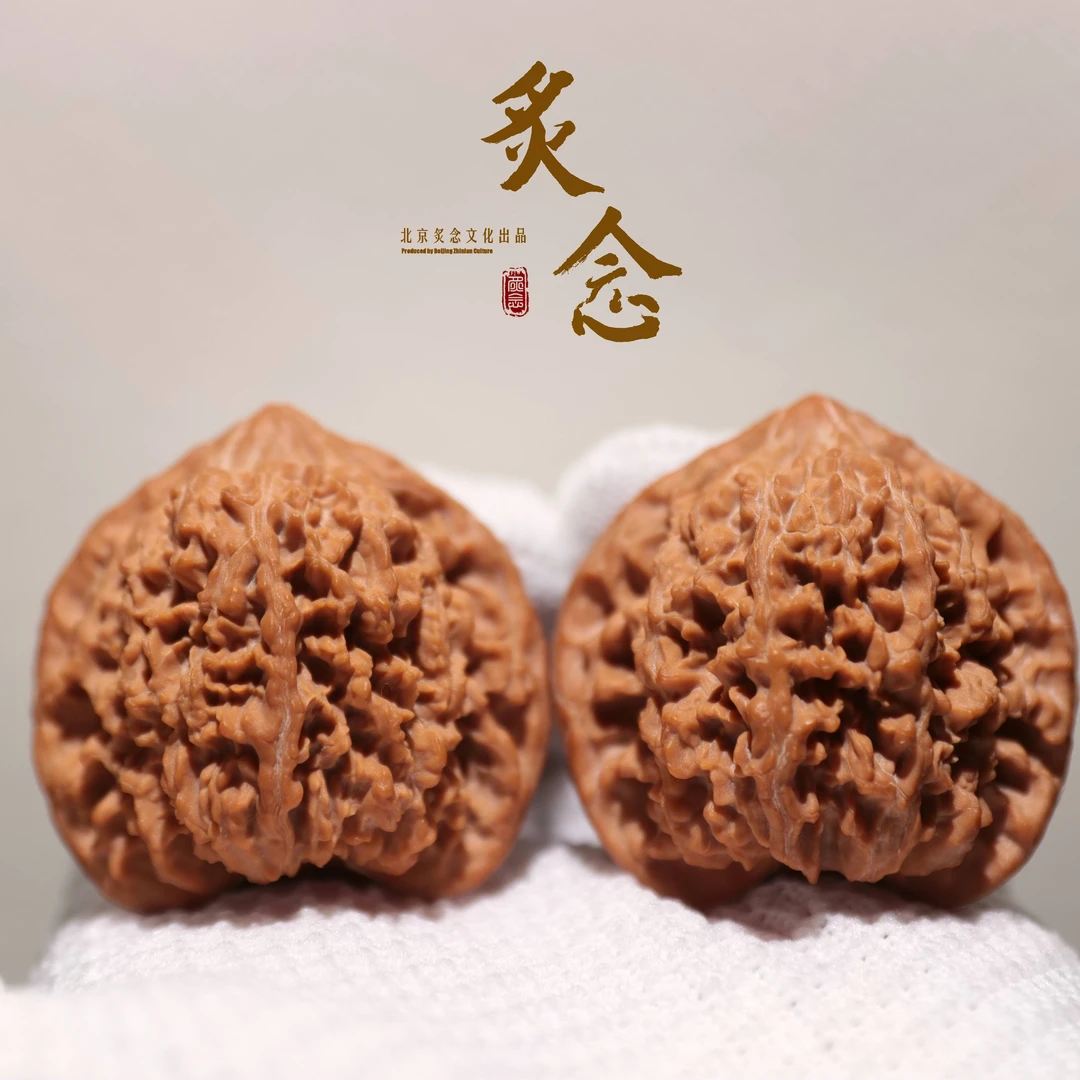 满天星 · 45.5-42-45 一物一图 文玩好物 百花山狮子头