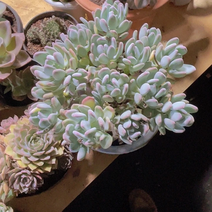 墨***岩00000000000000435