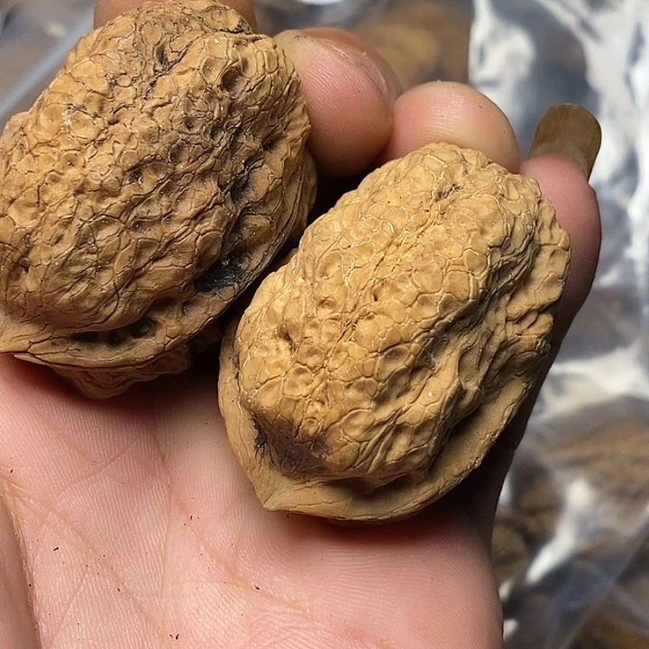 把件文玩核桃云南铁核桃26号42mm