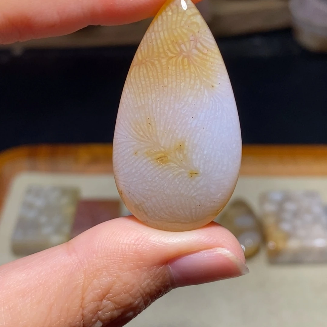 【闪购商品】硅化玉珊瑚玉未镶嵌