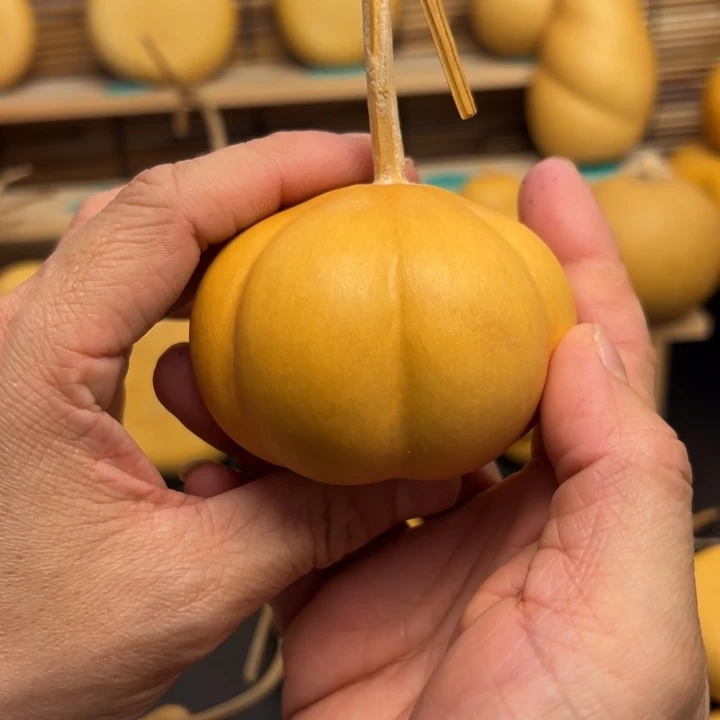 深****～23666696669999