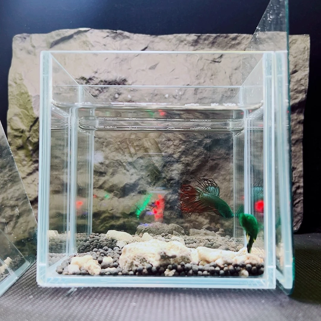 斗鱼精品精品精品